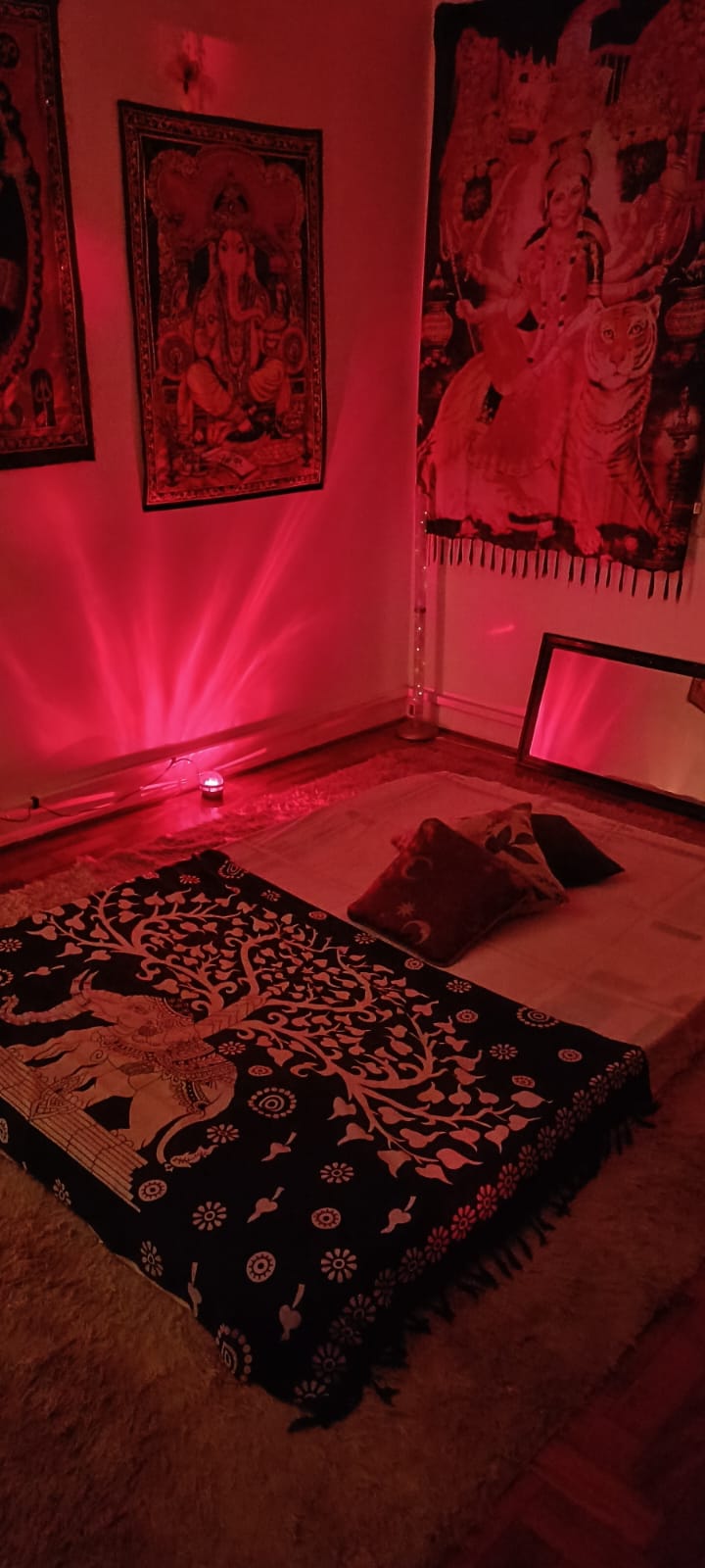 Espaço de atendimento de Circe no Jardins, em São Paulo